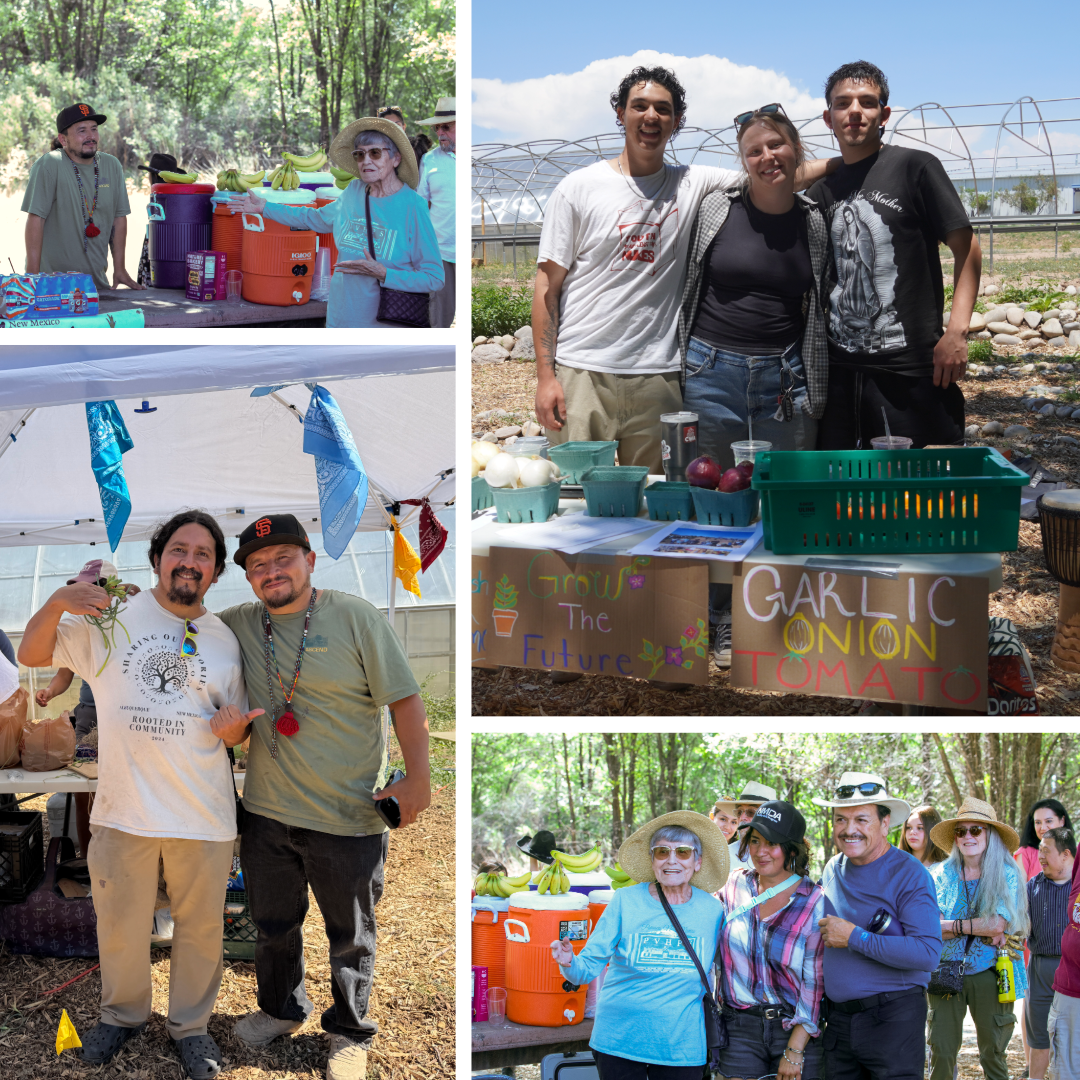 A collage from the Northern New Mexico Garlic Festival highlighting community connections throughout the day. Photos show volunteers and organizers serving refreshments, local growers and community members posing together at festival booths, visitors showcasing freshly harvested produce, and attendees gathering to celebrate agriculture, friendship, and the return of the festival at Sostenga Farm.
